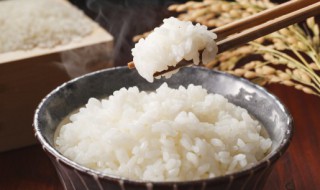 自热米饭为什么嚼着像塑料 自热米饭里的米是什么米