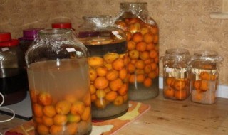 怎样自制发酵杏子酒 杏醋的制作方法视频