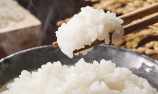 怎样把剩米饭做成汤饭好吃 怎样把剩米饭做成汤饭