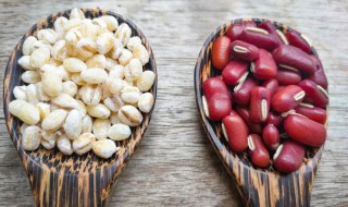 赤小豆薏米汤的比例 赤小豆薏米煲汤的做法和功效