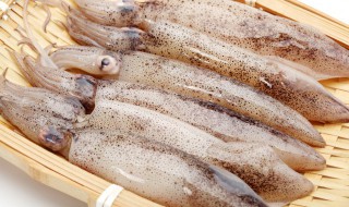 酱烧笔管鱼的做法窍门 烧椒酱笔管鱼的做法