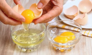 洋槐花炒鸡蛋怎样做 洋槐花炒鸡蛋怎么做如何做好吃