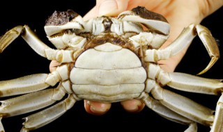 螃蟹一般蒸多长时间能熟能吃 螃蟹一般蒸多长时间可以食用