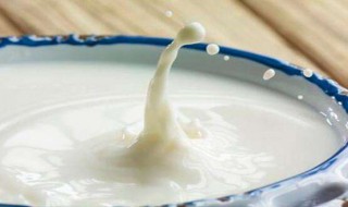 海藻牛奶面膜怎么做 牛奶面膜怎么做