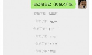 苹果微信拍一拍是什么意思（iphone微信拍一拍功能在哪里）