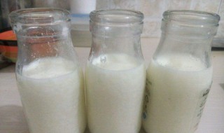 酸奶的制作方法和流程 酸奶的制作方法