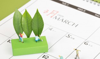 3月12日是什么节日植树节 3月12日是什么节日