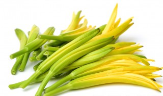 黄花菜的功效 黄花菜的功效与作用及营养价值