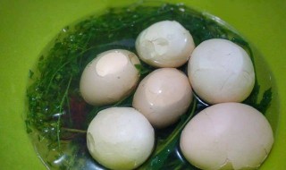 地米菜煮鸡蛋的作用与功效图片 地米菜煮鸡蛋的作用与功效