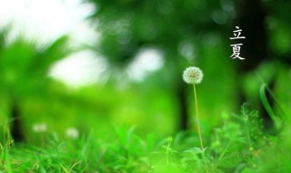 立夏古诗 《夏日》白居易