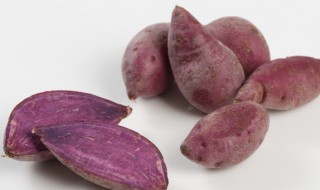 紫薯鸡蛋卷怎么做 紫薯鸡蛋卷怎么做才好吃