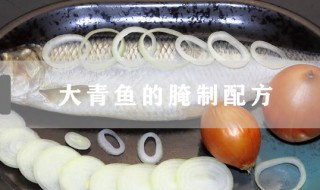 大青鱼的腌制配方 大青鱼的腌制方法如下