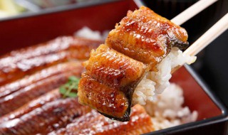 日式鳗鱼饭的做法 日式鳗鱼饭的做法窍门
