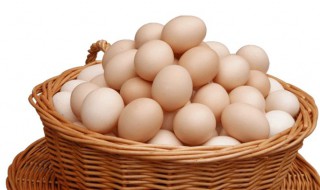 描写鸡蛋的优美句子 描写鸡蛋的优美句子简短