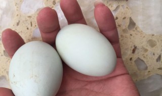 乌鸡蛋的功效与作用及营养价值 乌鸡蛋的功效与作用