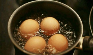 鸡蛋为什么会在盐水中浮起来作文300字 鸡蛋为什么会在盐水中浮起来