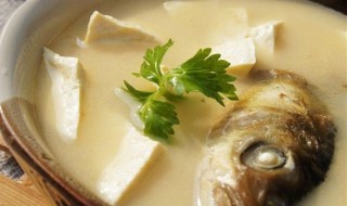 家常鱼头炖豆腐的做法 鱼头炖豆腐的做法