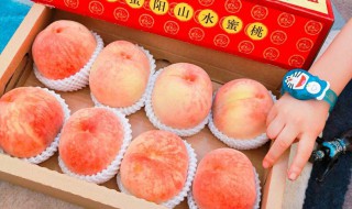 阳山水蜜桃正确吃法 阳山水蜜桃怎么吃