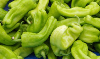 吃辣椒过量的危害有哪些 吃辣椒过量的危害