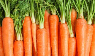 白萝卜和胡萝卜可以一起吃吗 胡萝卜吃生的好还是熟的好