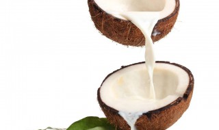 椰子汁怎么喝最好 椰子汁正确喝法