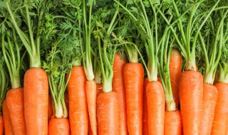 胡萝卜减肥一周瘦10斤 胡萝卜有什么功效作用