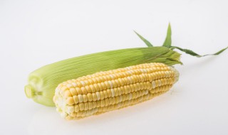 新鲜玉米可以放几天 新鲜玉米可以放几天常温