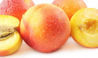 桃子放冰箱好还是常温好 水蜜桃的保存方法