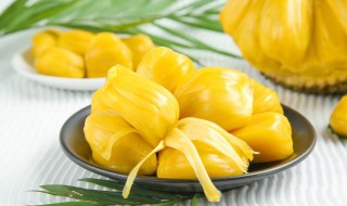 菠萝蜜的核能吃吗怎么吃法 菠萝蜜的核能吃吗怎么吃