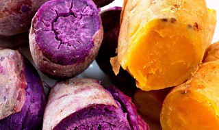 红薯和紫薯的区别 红薯和紫薯的区别的功效与作用