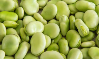 蚕豆的功效与作用及食用方法 蚕豆的功效与作用及食用方法甲状腺结节禁忌食物