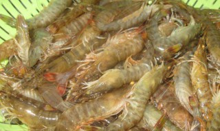 基围虾吃多了会怎么样 基围虾虾吃多了对身体有什么影响