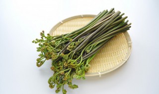 蕨菜处理方法 蕨菜怎样处理才能吃