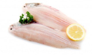 为什么不建议吃龙利鱼 舌鳎鱼和龙利鱼的区别