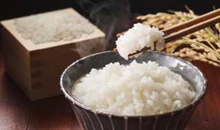 电压力锅做米饭 电压力锅做米饭米水比例多少
