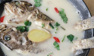 鱼汤怎么做好喝又营养做法 鱼汤怎么做好喝