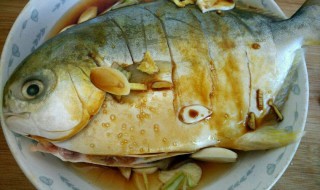 金鲳鱼怎么做好吃 金鲳鱼怎么做好吃又简单视频