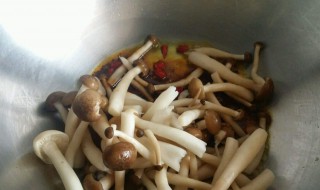 海鲜菇怎么做好吃素炒 海鲜菇怎么做好吃