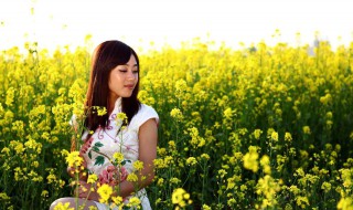 油菜花开的季节（油菜花开的季节马常胜）