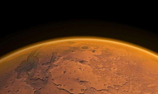 火星上有什么生物图片 火星上有什么