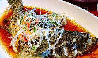 清蒸石斑鱼是哪里的菜系 清蒸石斑鱼是哪里的菜系菜