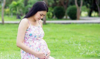 怀孕初期应注意哪些 怀孕初期应注意哪些饮食禁忌