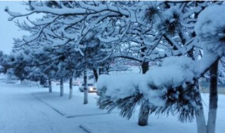 梦见下大雪是什么预兆 梦见下大雪是什么预兆解梦