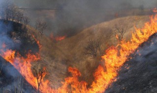 梦见大火烧山什么意思（梦见火烧山是什么意思周公解梦）