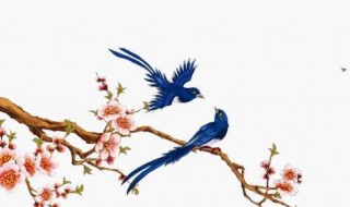 在天愿作比翼鸟在地愿为连理枝是什么意思 在天愿作比翼鸟在地愿为连理枝的含义