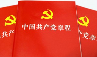 党的纲领和章程的认识500字 党的纲领和章程