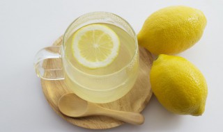 柠檬片的保存方法 柠檬片的保存方法