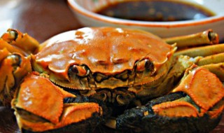 螃蟹能和梨子一起吃吗 螃蟹能和梨子一起吃吗会中毒吗