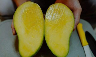 芒果可以连皮一起吃吗有毒吗 芒果可以连皮一起吃吗