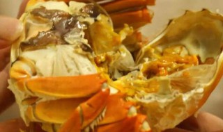 吃完葡萄多久可以吃螃蟹 吃完葡萄多久吃螃蟹比较好